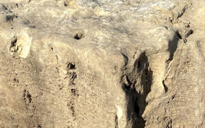 Silverdale Weathered Boulders