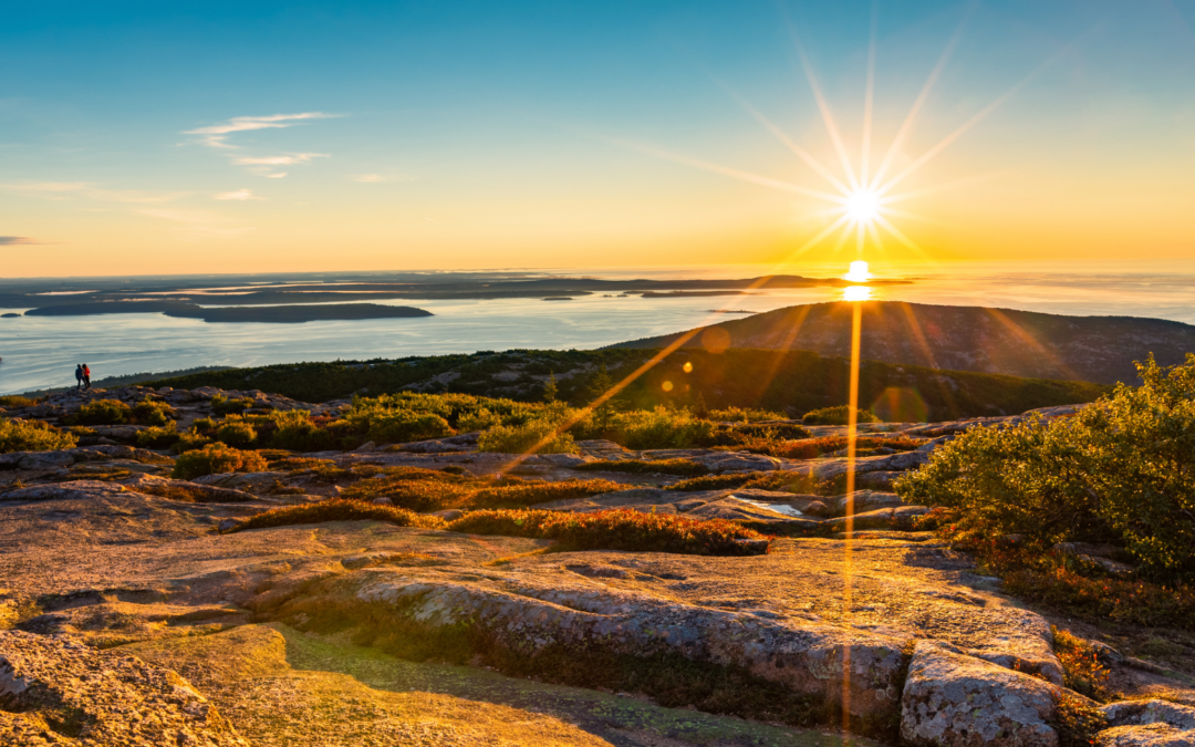 Inspiration in the Wild: Acadia